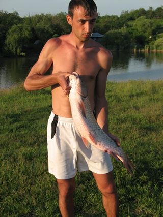 fish